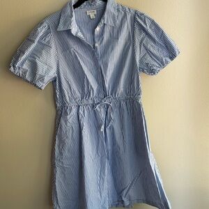 J. Crew Blue and White Striped Shirt